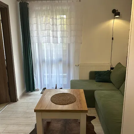 Zakatek Pod Gubalowka -szkolna 12d-centrum 公寓 扎科帕内